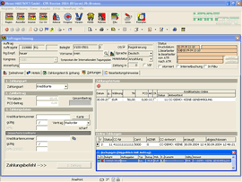 Screenshot  Elektronischer           Zahlungsverkehr